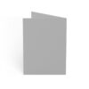 It's 5:00 Some Where Greeting Cards - Image 10